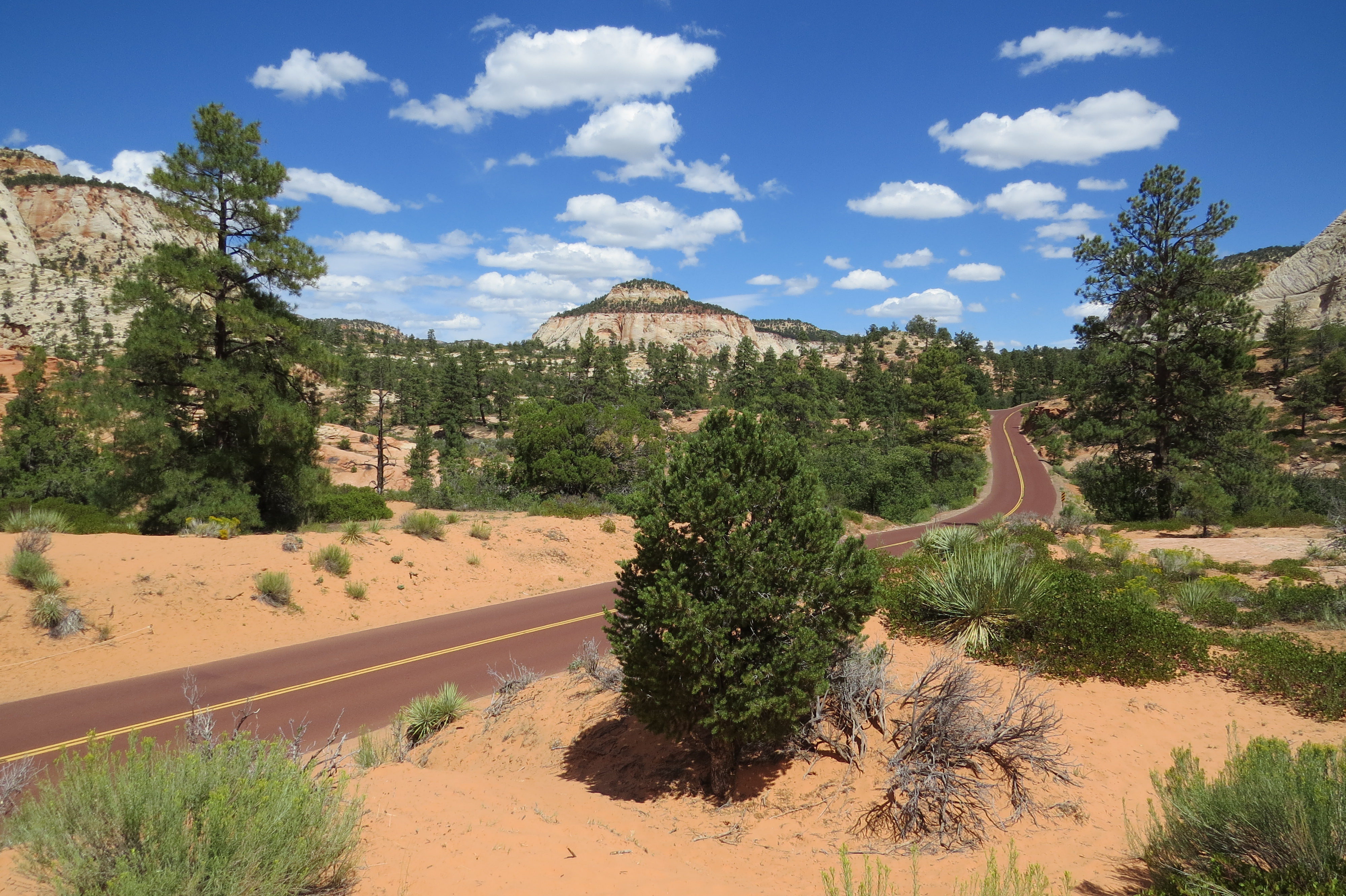 Zion-Mount Carmel Highway