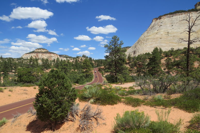 Zion-Mt.Carmel Highway