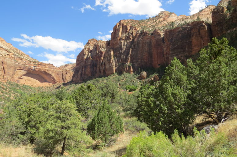 Zion-Mt.Carmel Highway