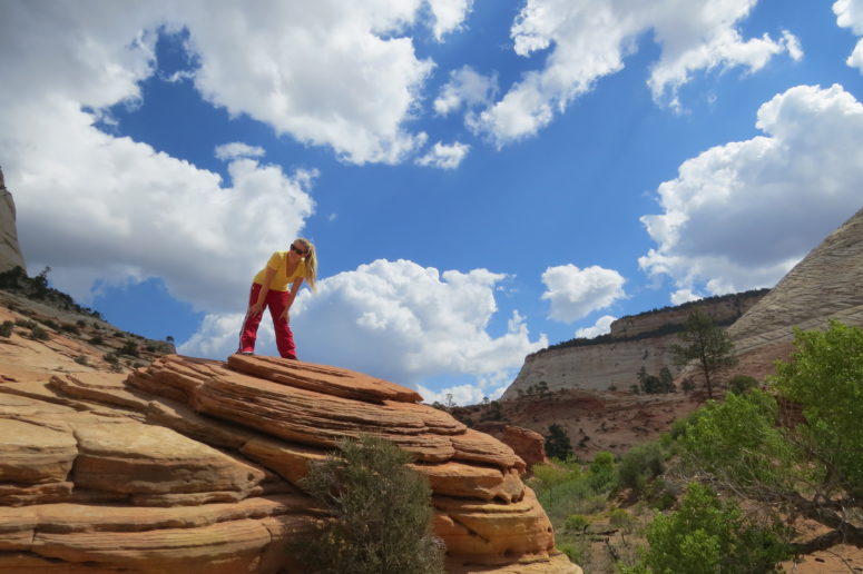 Zion-Mt.Carmel Highway