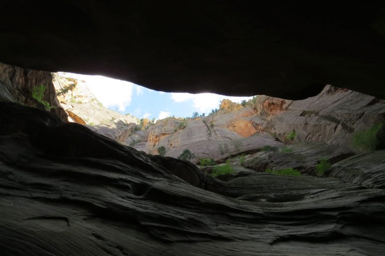 Looking up out of the Narrows