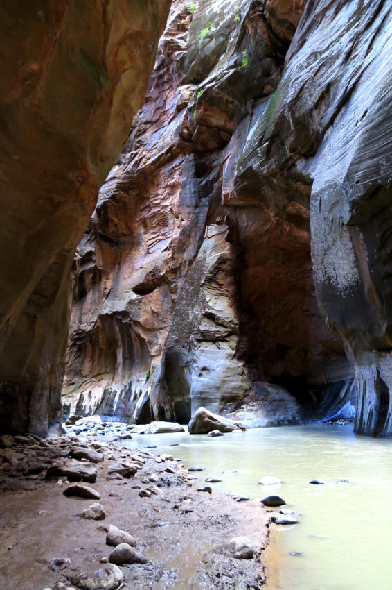 The Narrows of Zion National Park