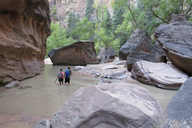 in the Narrows, in Zion NP