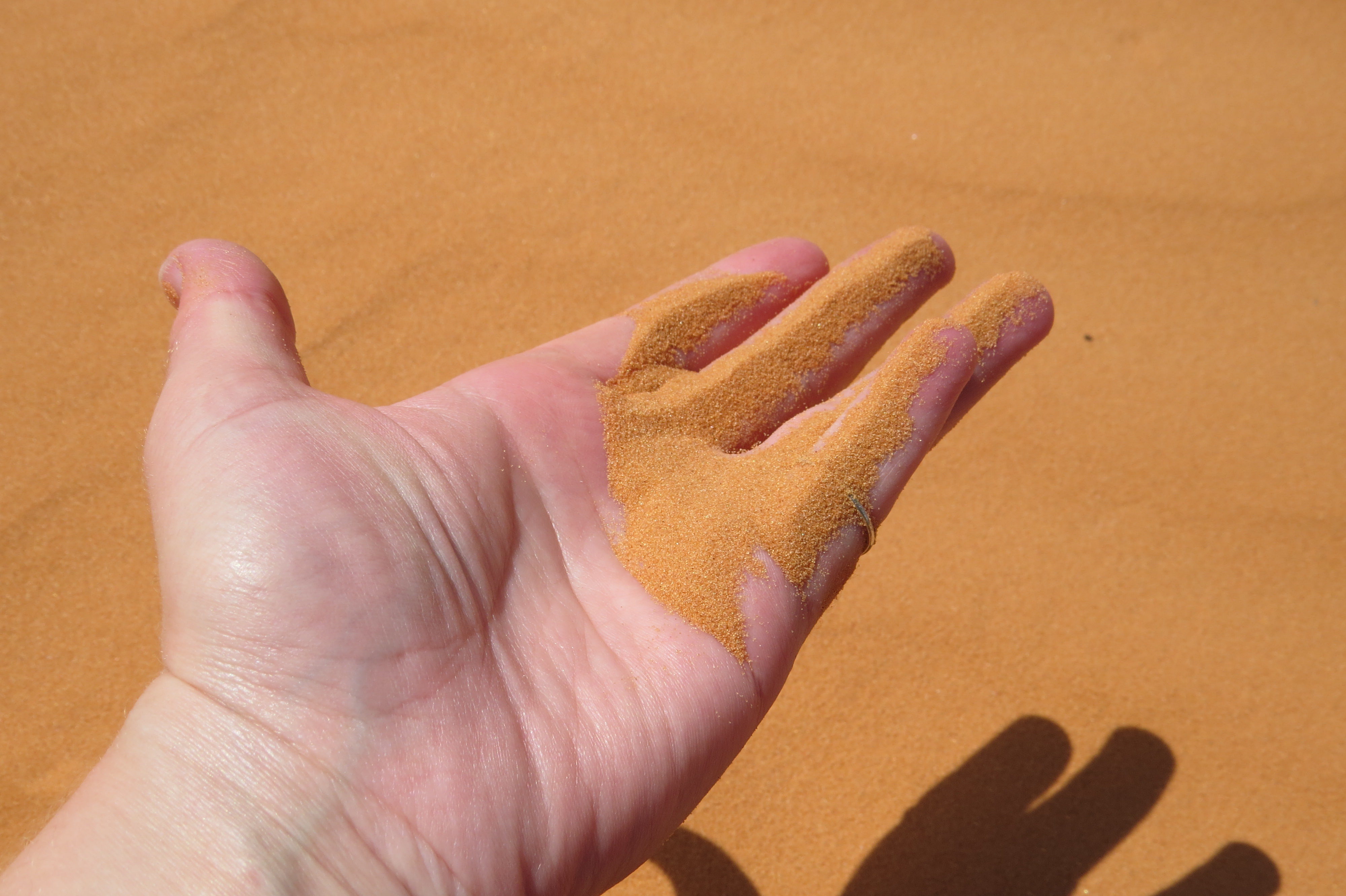 Corral Pink Sand Dunes