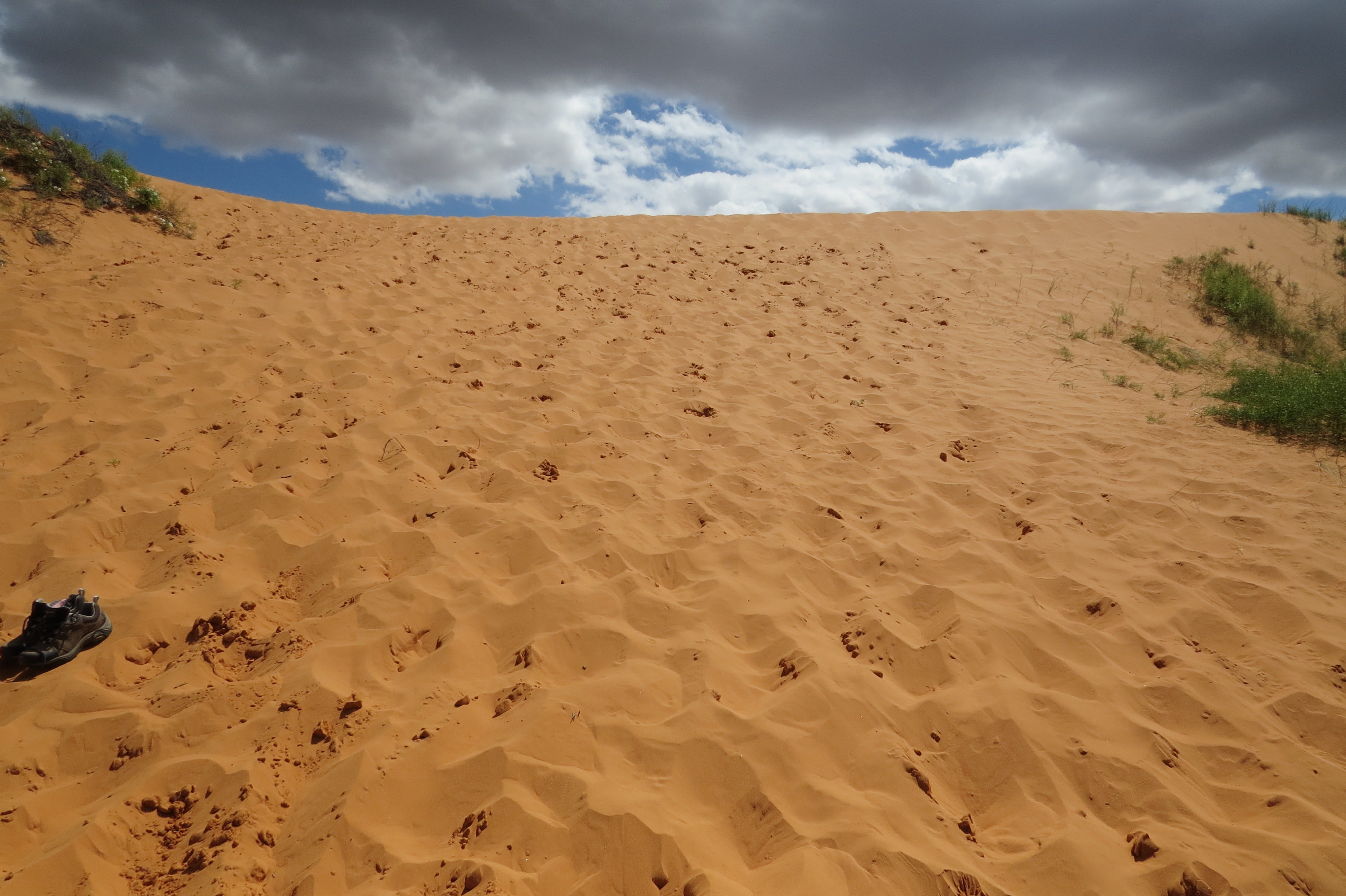 Corral Pink Sand Dunes