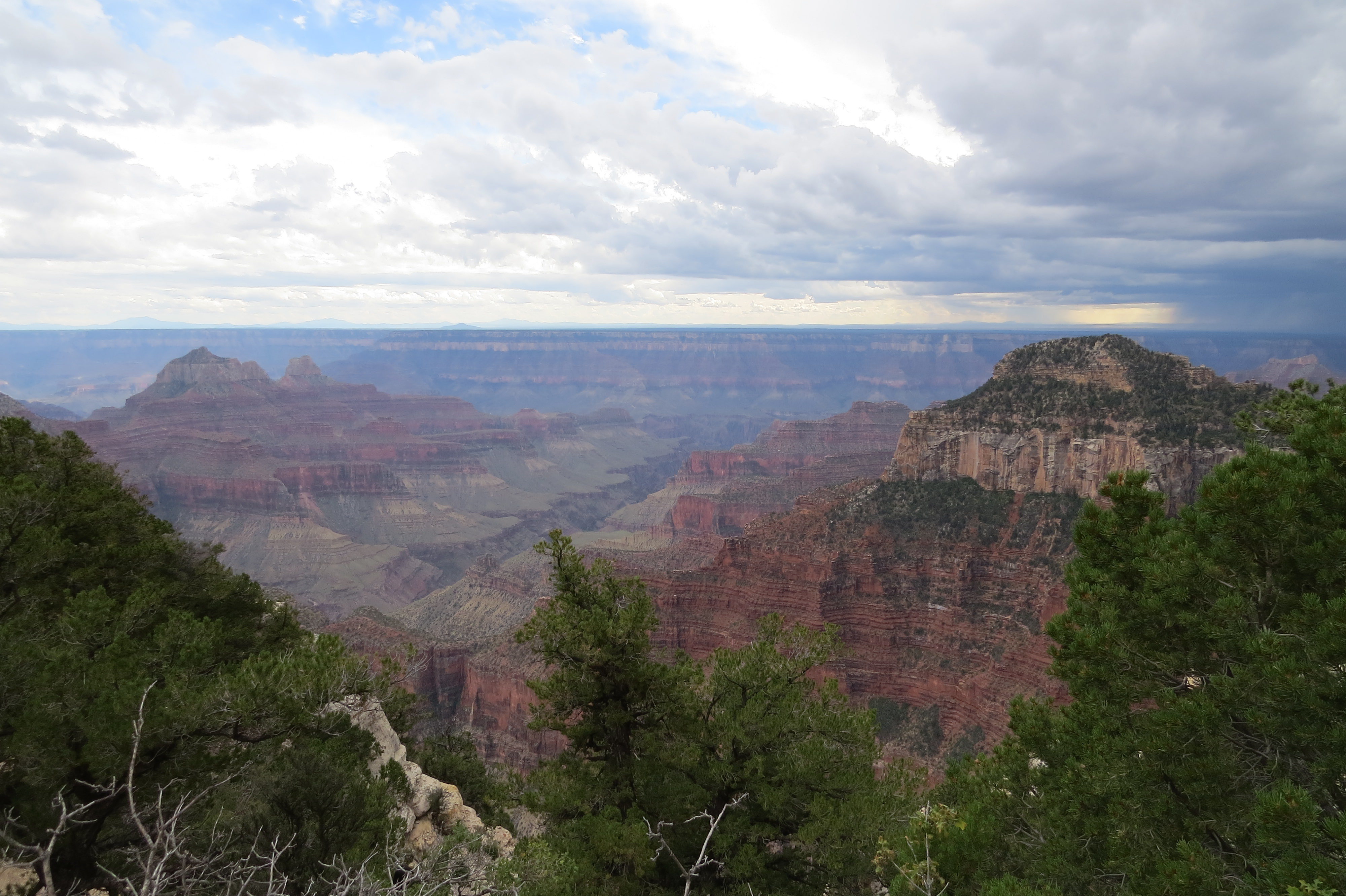 the north rim of the Grand Canyon