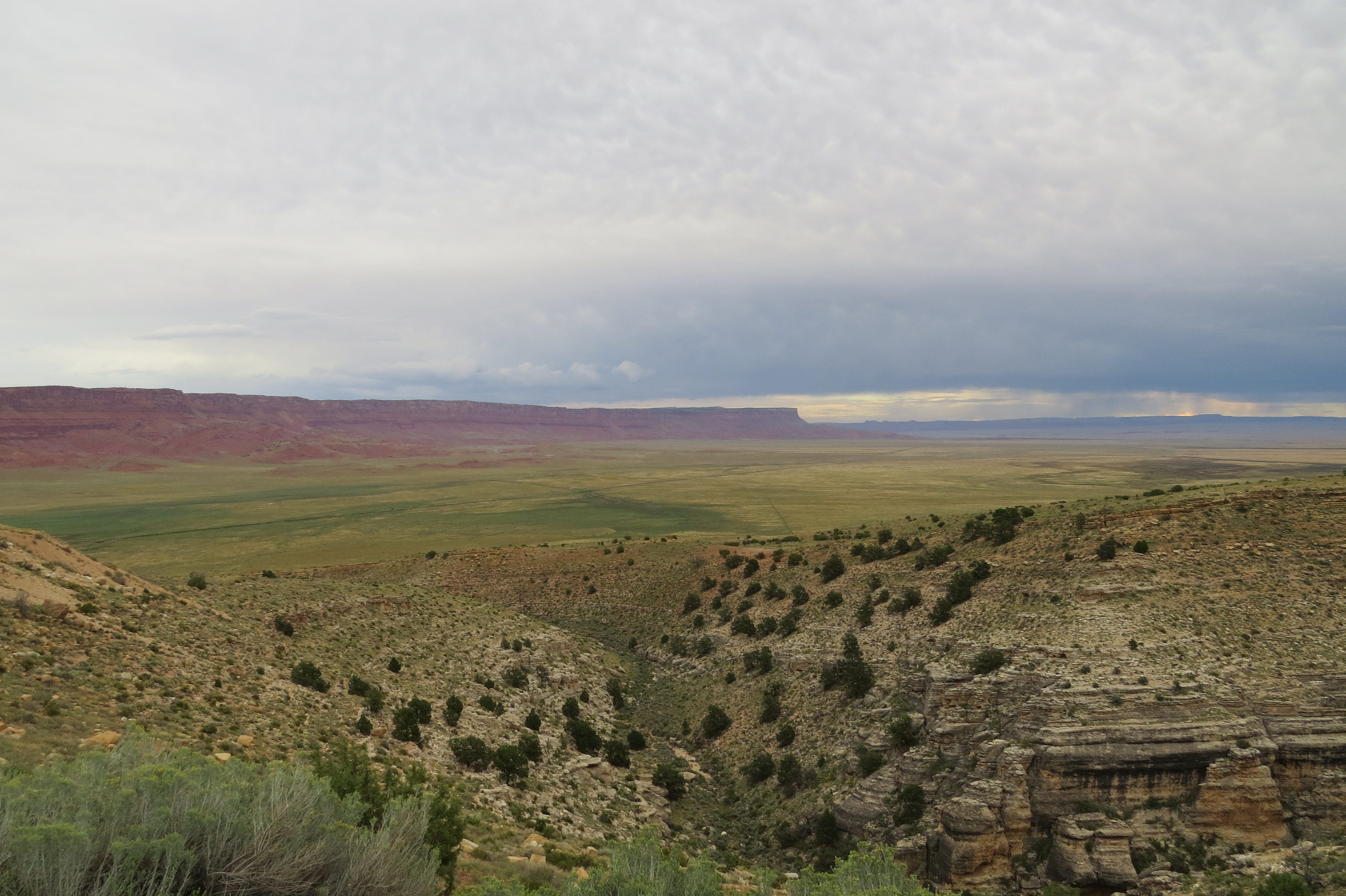 Northern Arizona- Route 89A