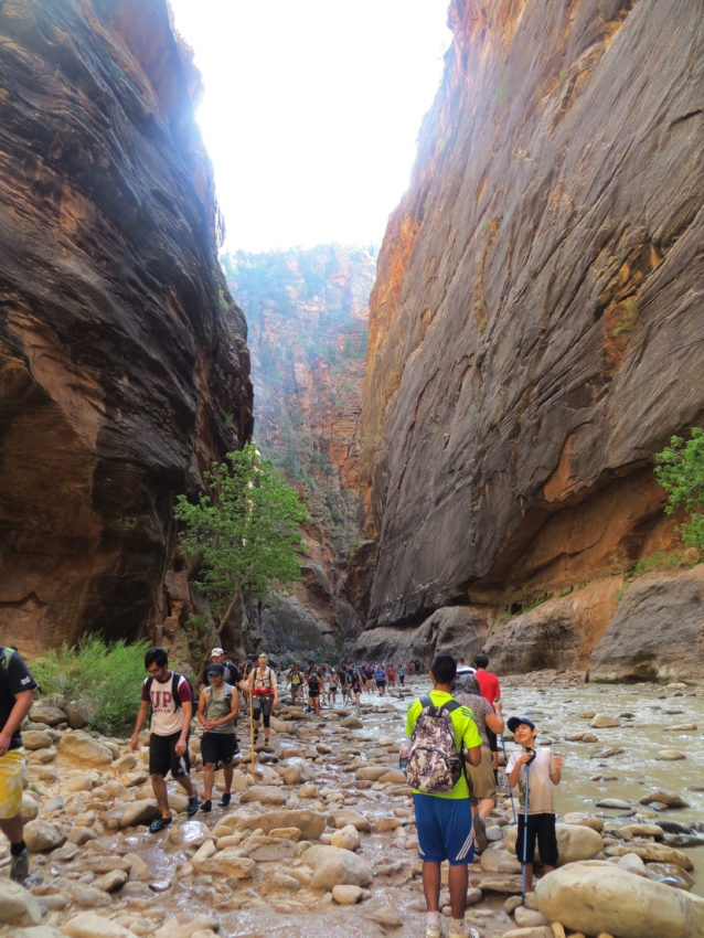 Crowded Virgin River at the start of the hike into the Narrows