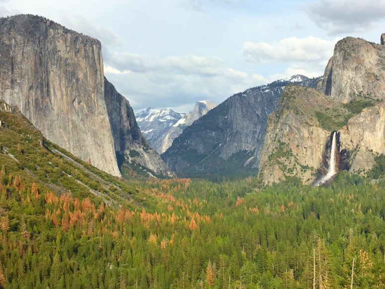 Outlook over Yosemite Valley from Tunnel View