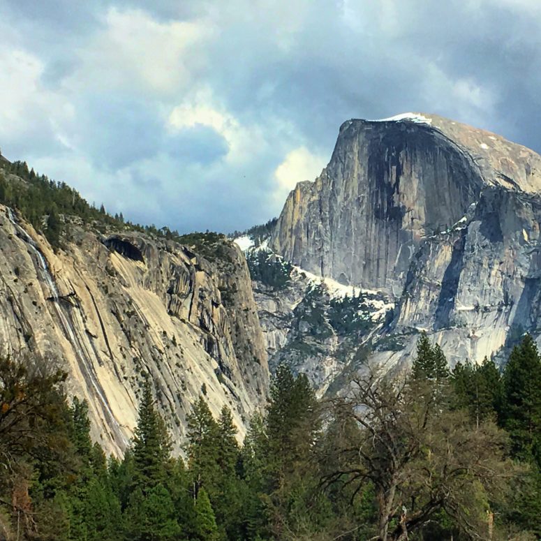 View of Half Dome from the valley