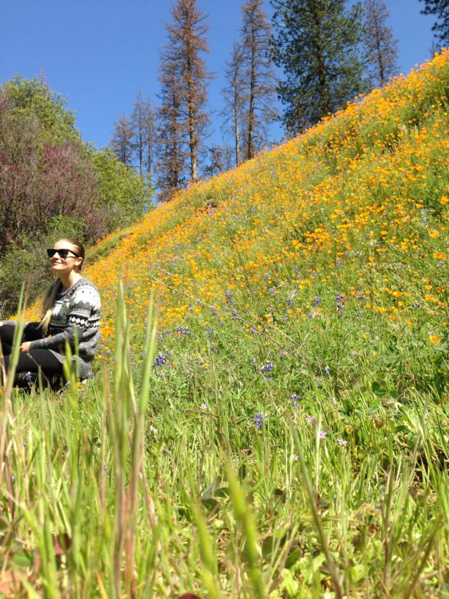 in a sea of wildflowers
