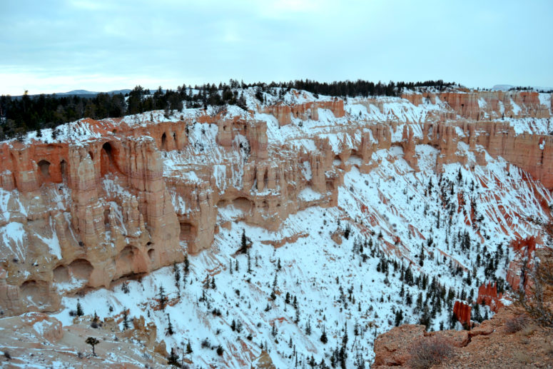 bryce in winter