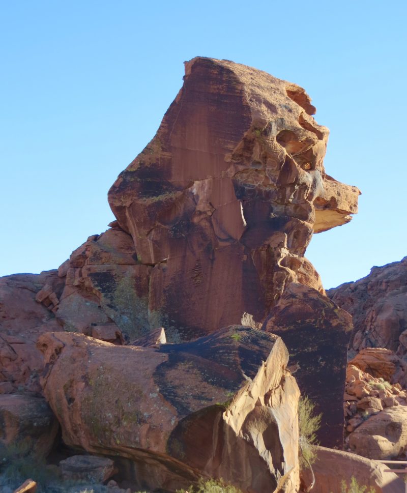 dog head shaped rock