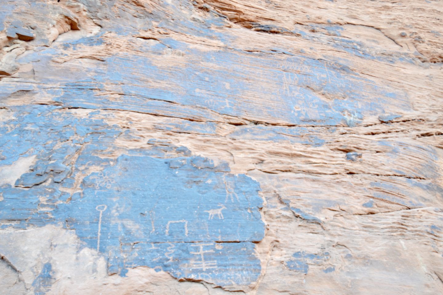 petroglyphs 