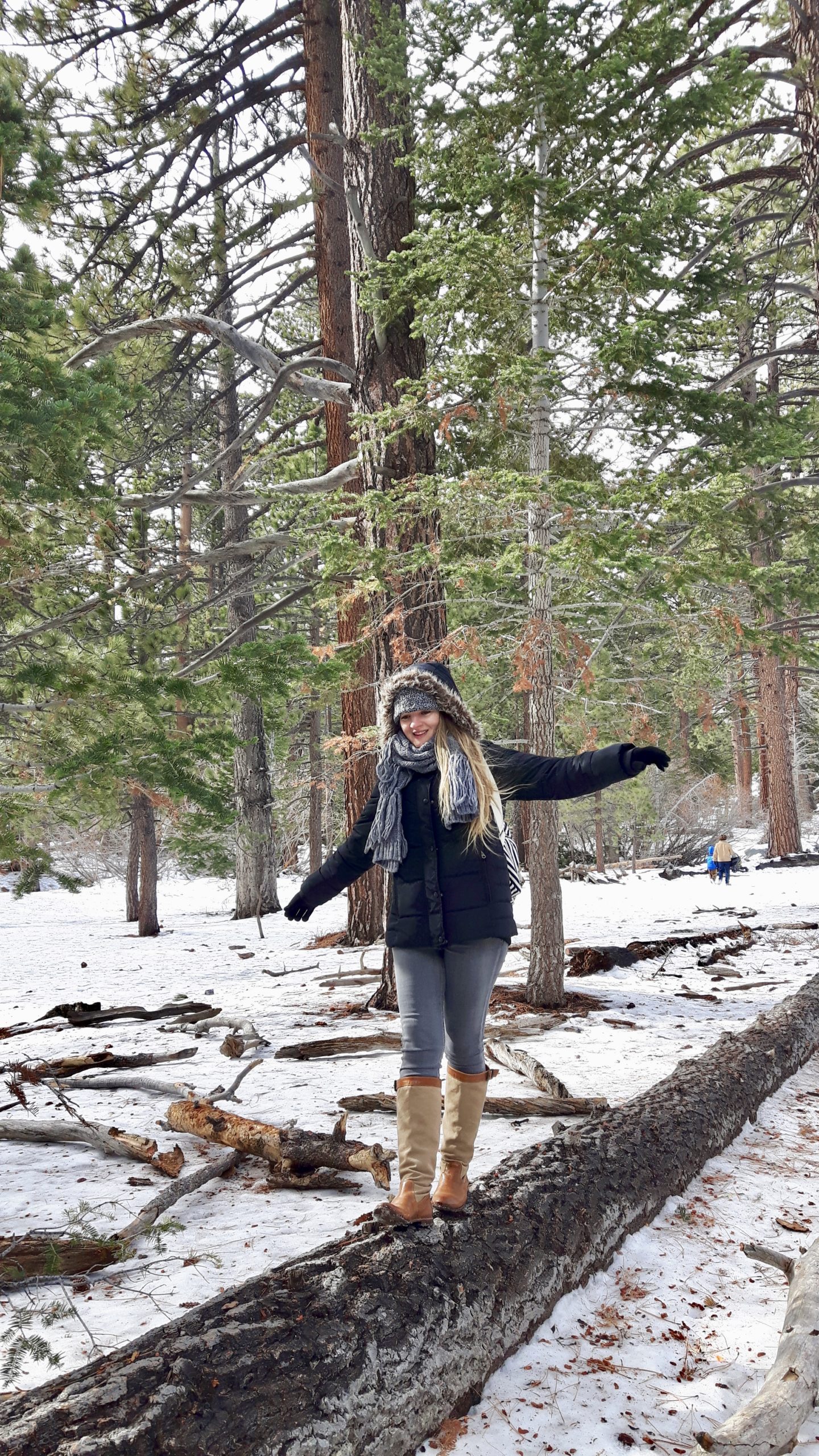 playing in the snow at Mt. San Jacinto