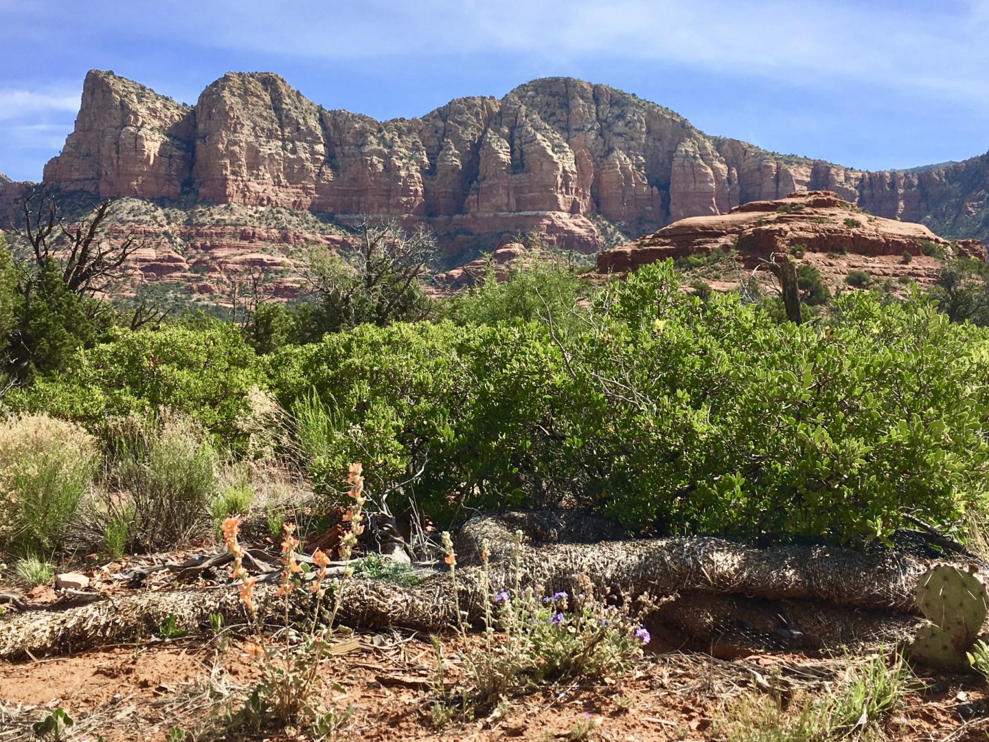 Sedona