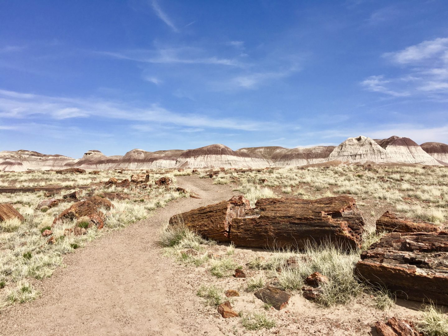 Visiting Petrified Forest National Park Restless Curiosity