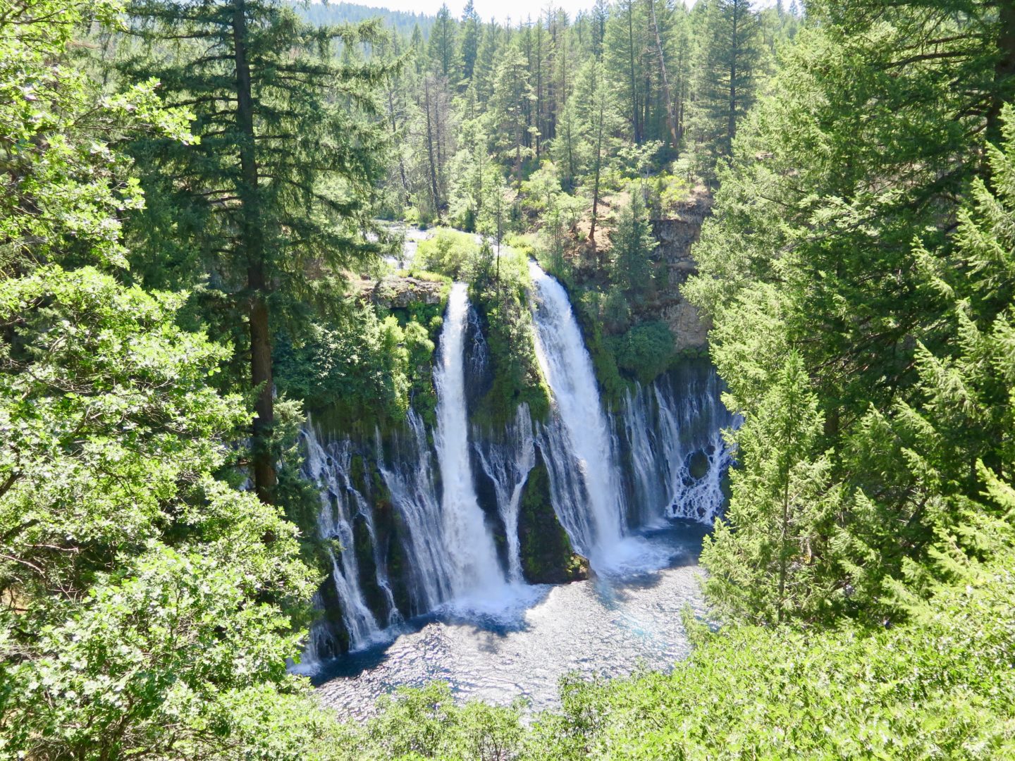 Burney Falls from top of the trail