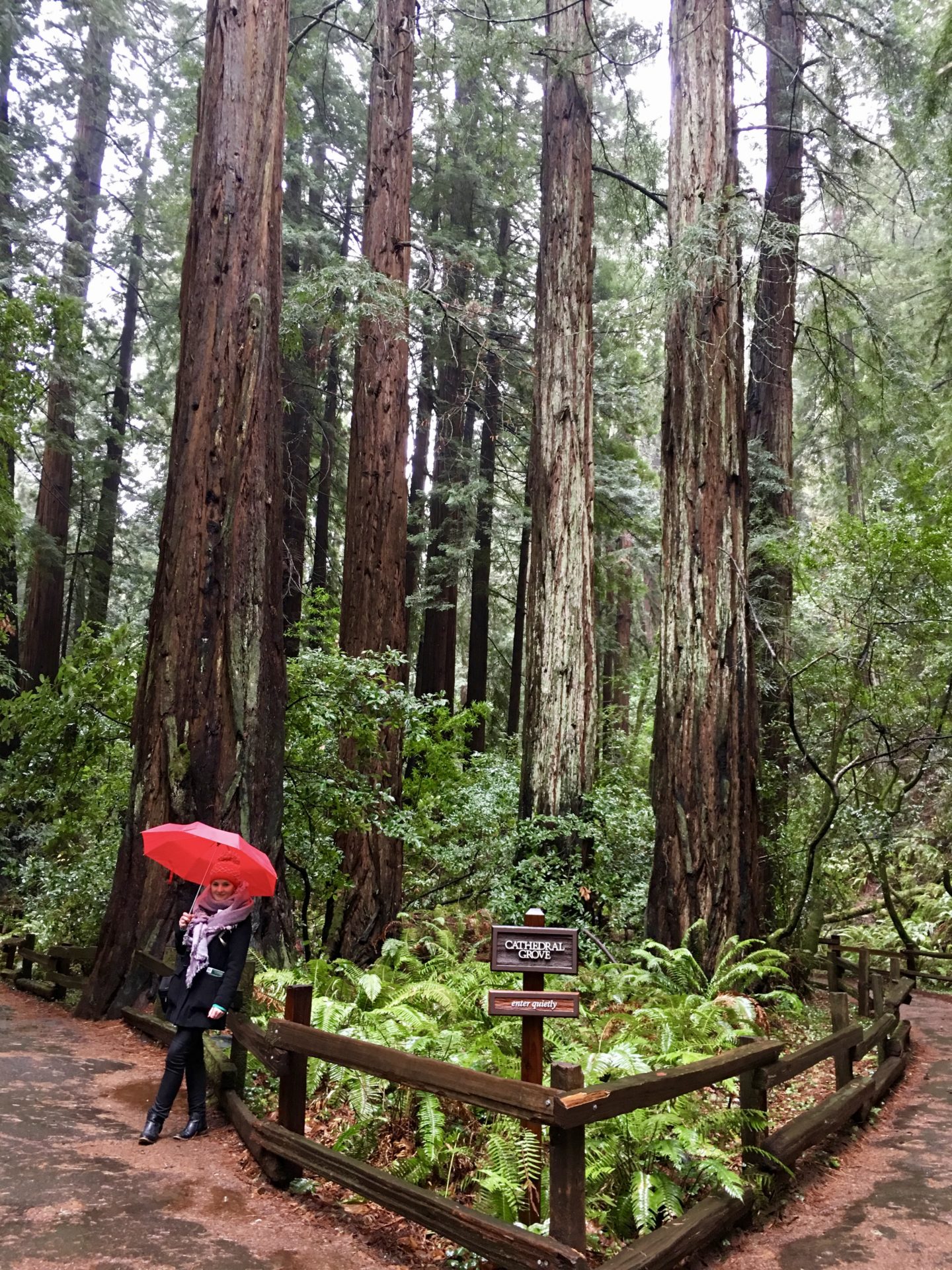 Muir Woods