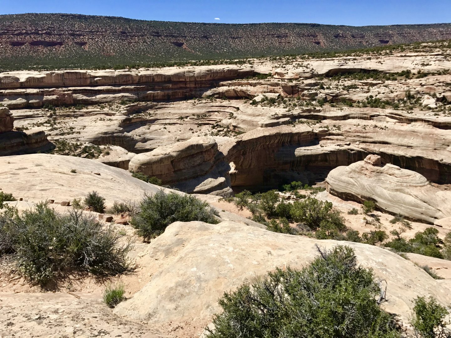 Natural Bridges National Monument