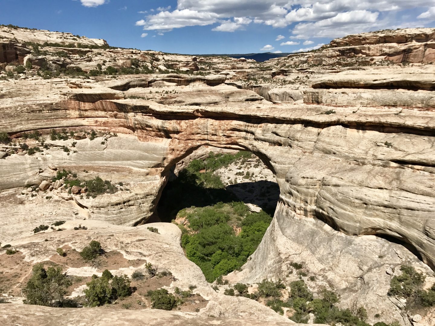 Natural Bridges National Monument