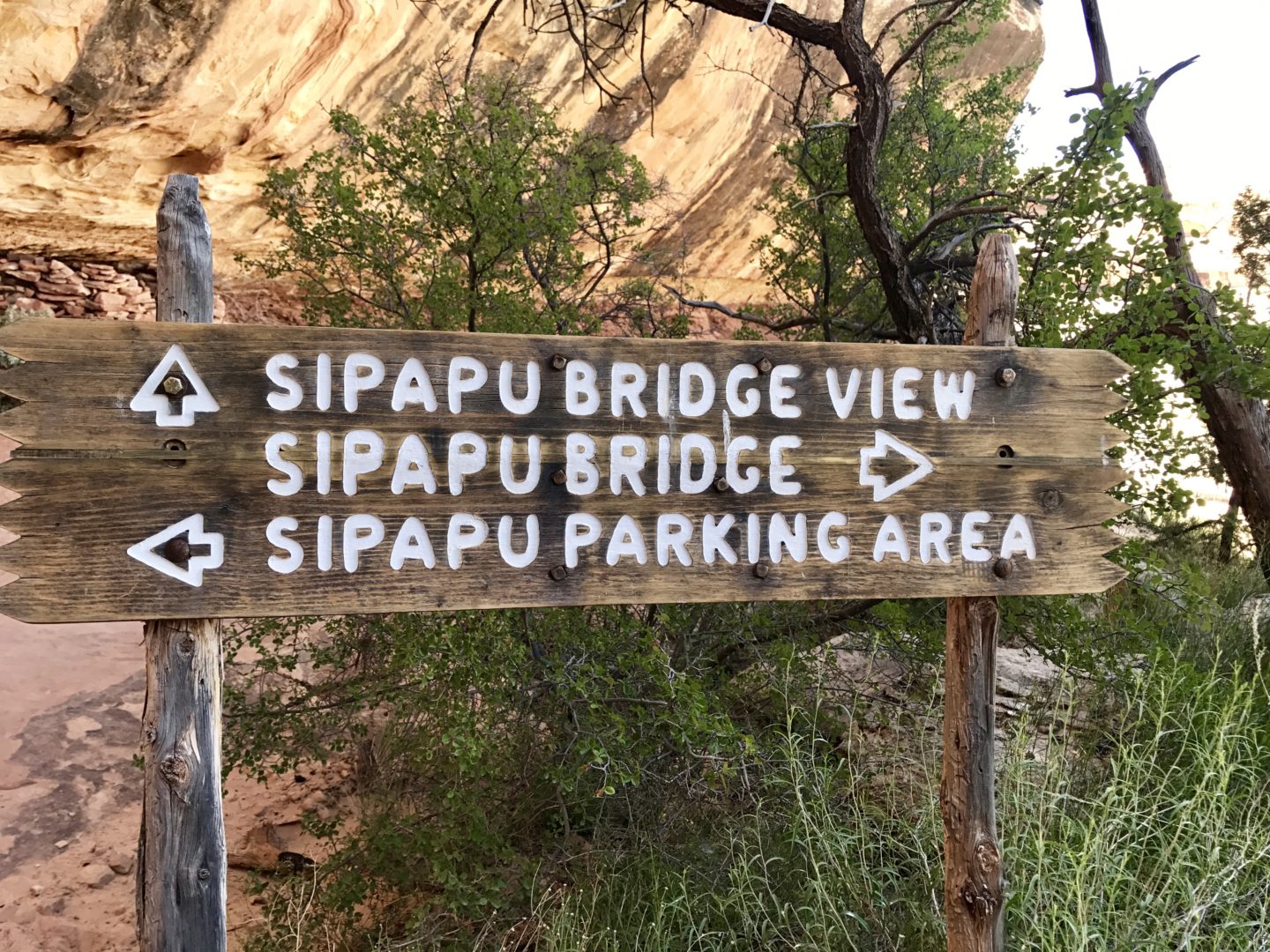 on the way to Sipapu Bridge, Natural Bridges National Monument