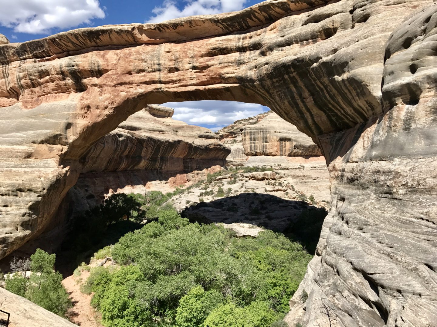 Sipapu Bridge, Natural Bridges National Monument