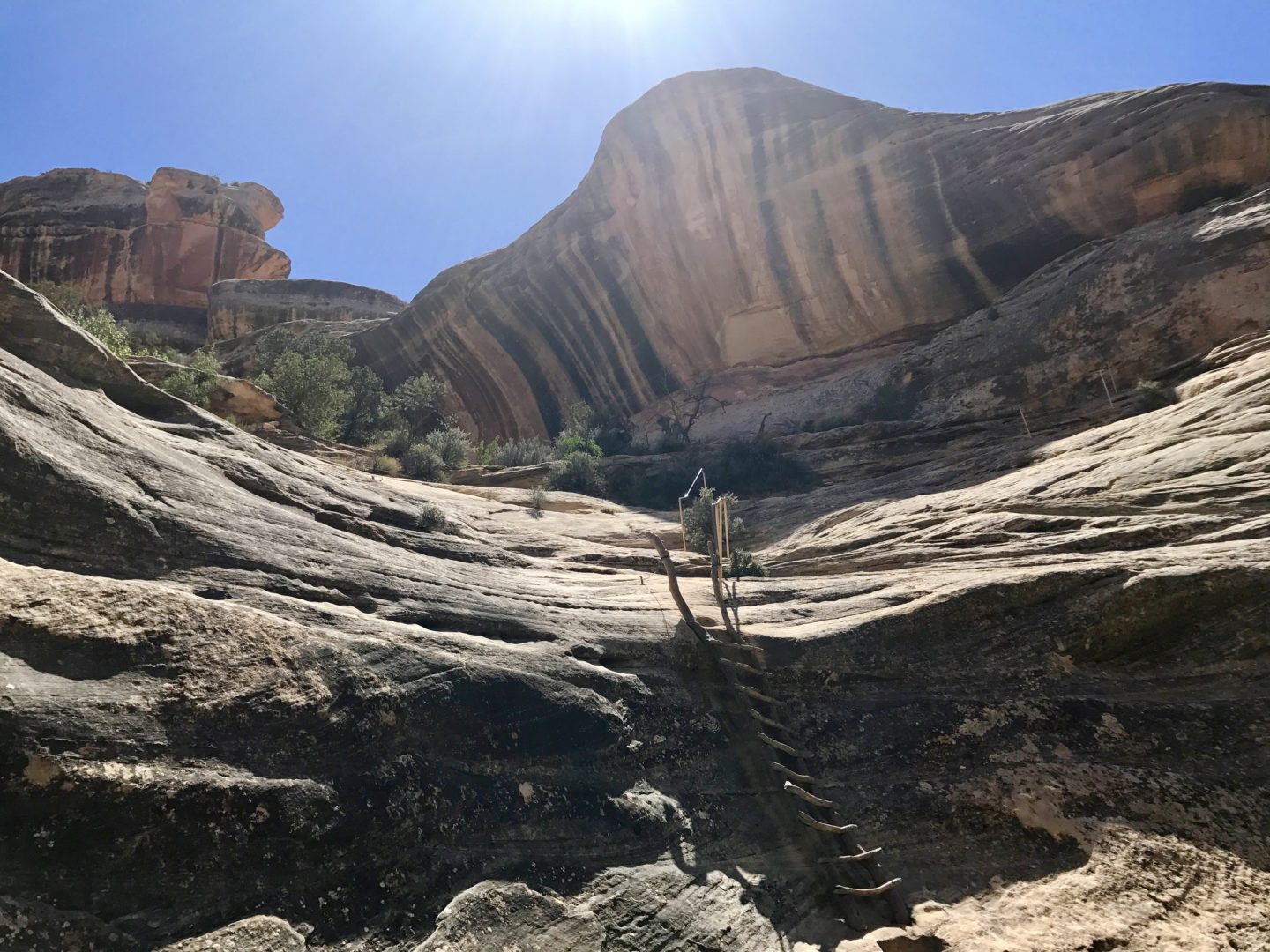 Natural Bridges National Monument