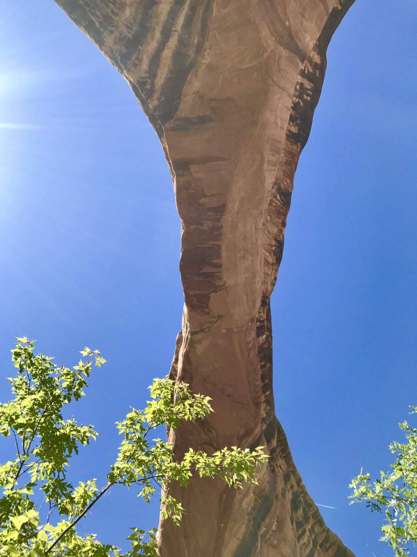 Sipapu Bridge at Natural Bridges National Park