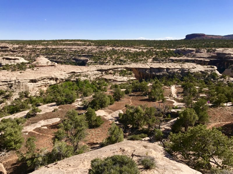 Lookout over the landscape in Natural Bridges National Monument