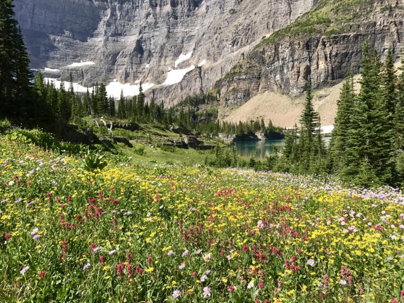 Iceberg Lake Trail