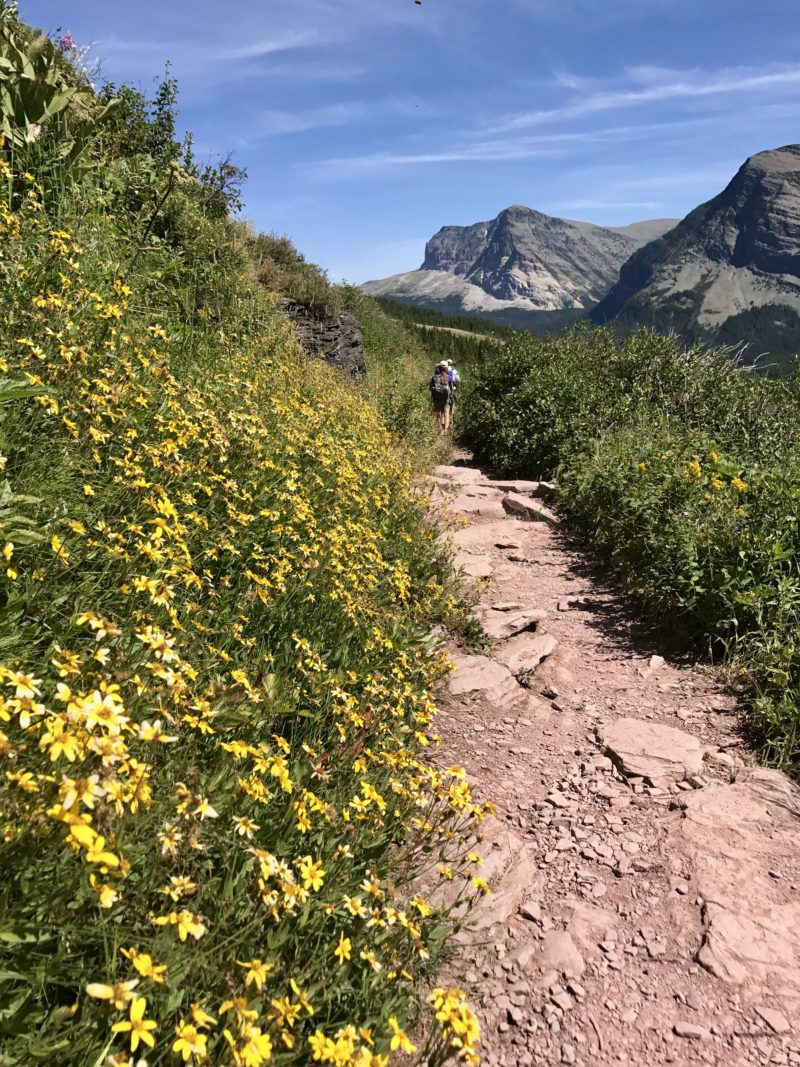 Iceberg Lake Trail