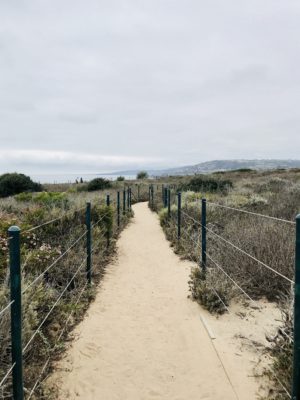 Dana Point Nature Preserve