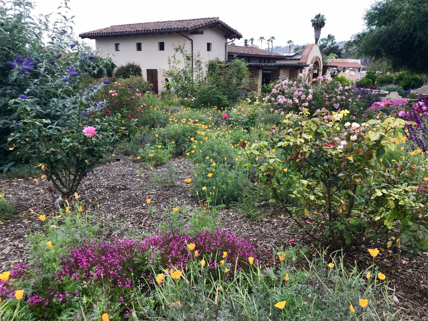 Mission San Juan Capistrano Gardens