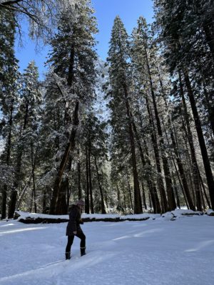 Yosemite covered in snow