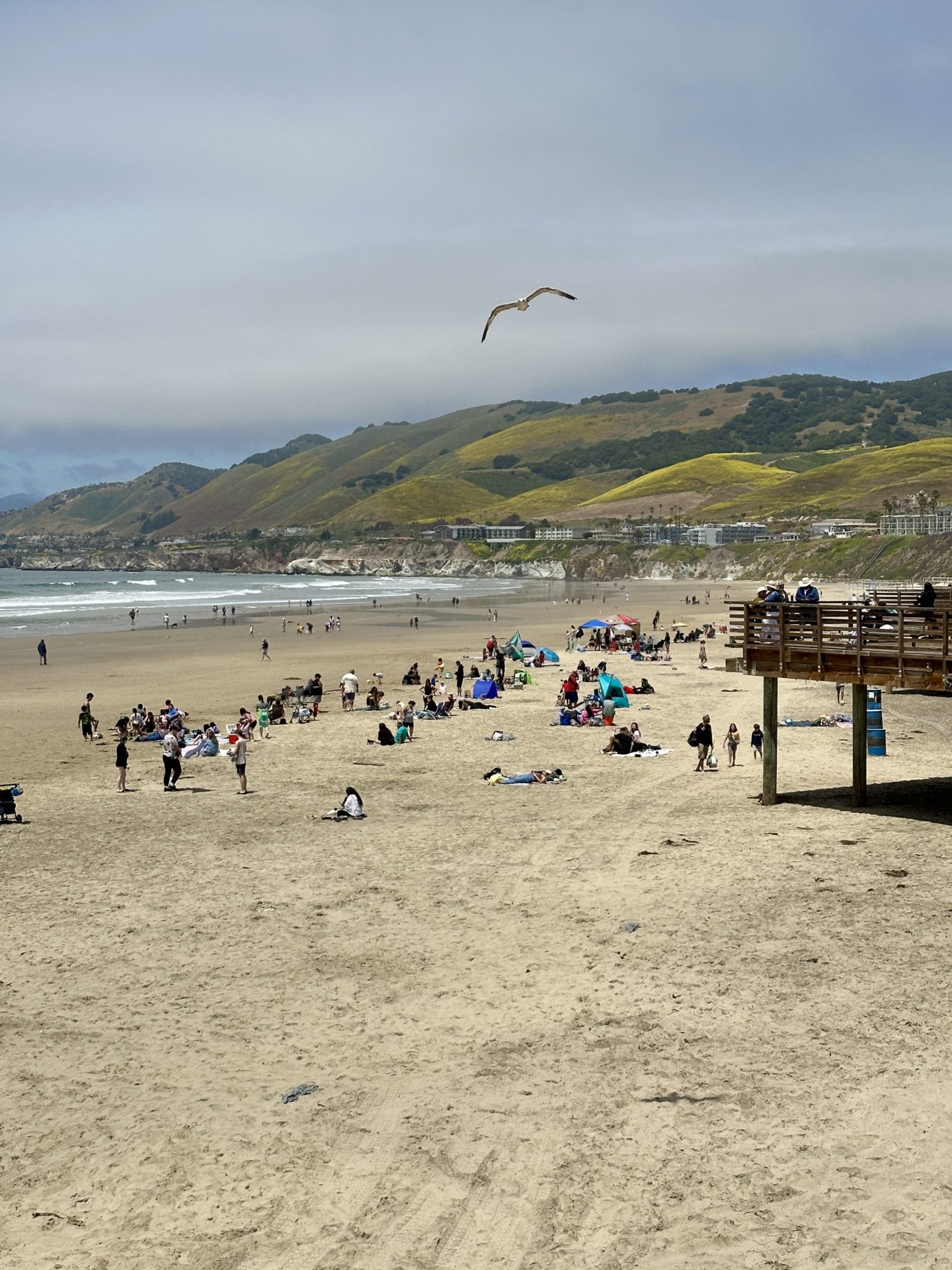 the beach in Pismo Beach