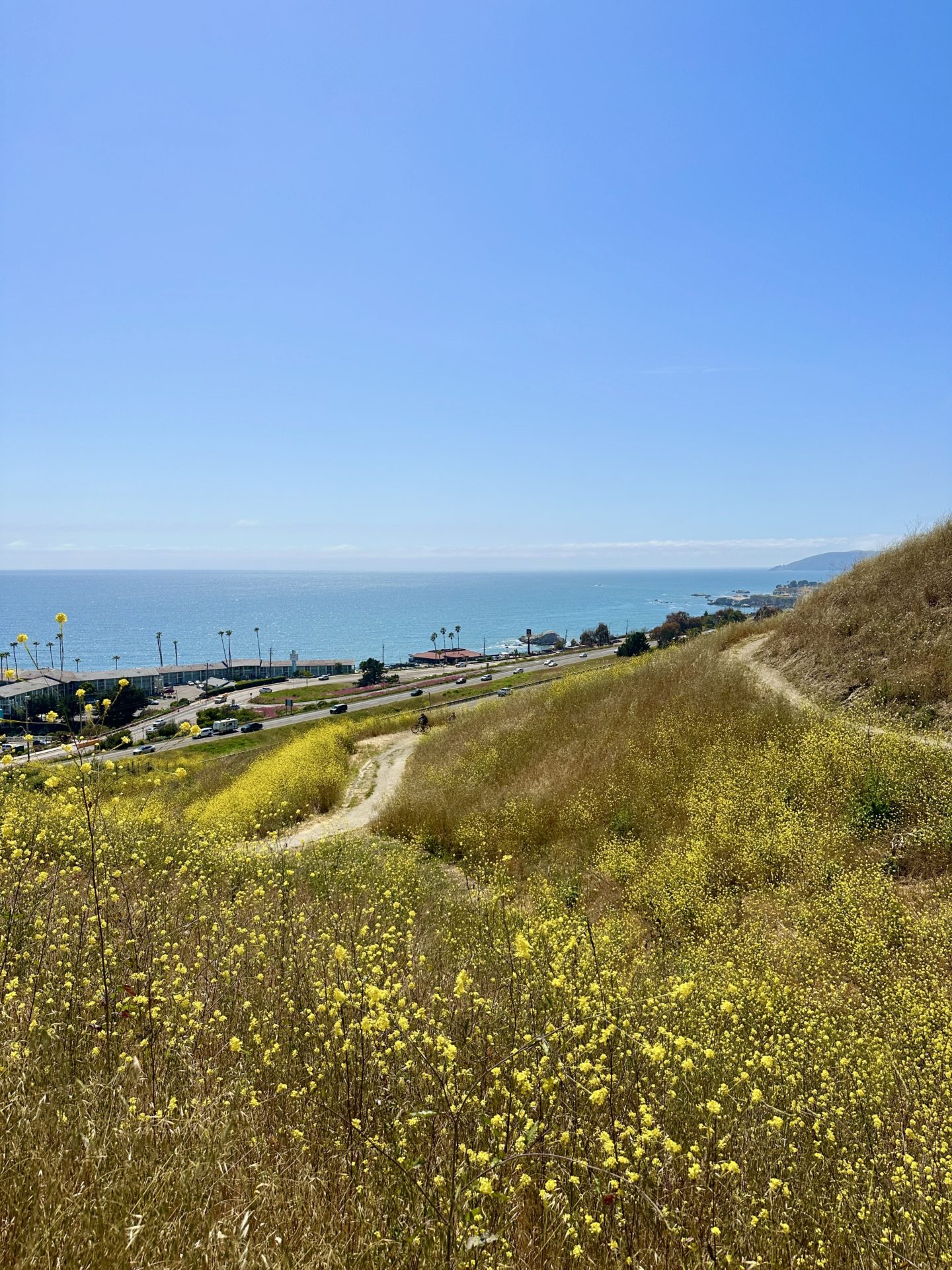 Views of Pismo Beach from Pismo Preserve